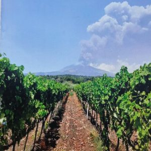 Palmento sull'Etna